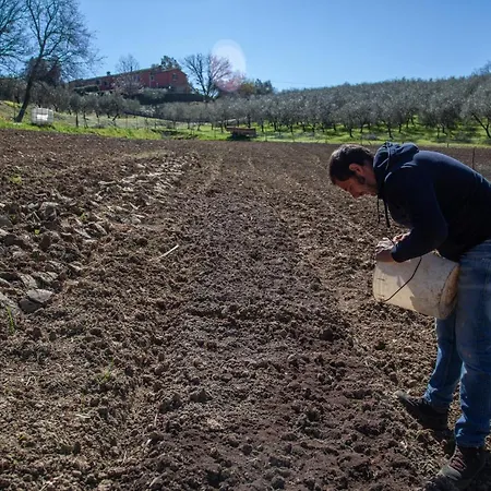 Agricola Posapiano * Montecarlo