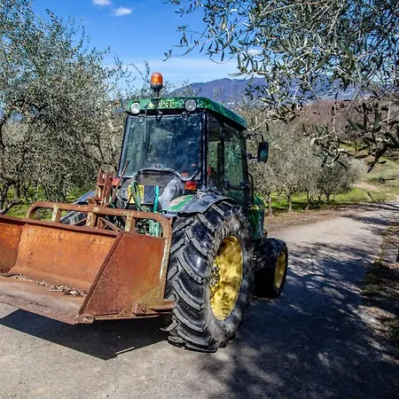 Agricola Posapiano *