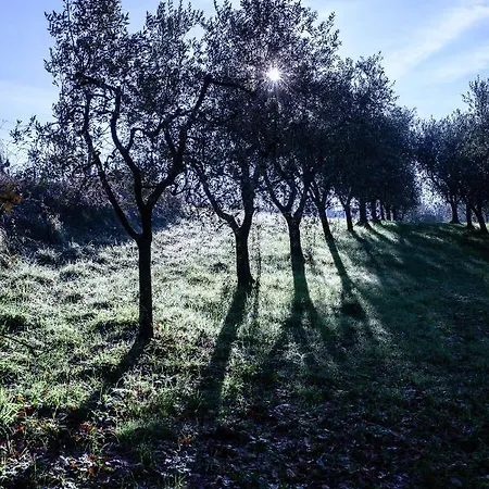 Agricola Posapiano Vakantieboerderij *