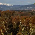 Feriegård Agricola Posapiano Montecarlo