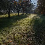 Feriegård Agricola Posapiano