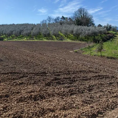 Agricola Posapiano * Montecarlo