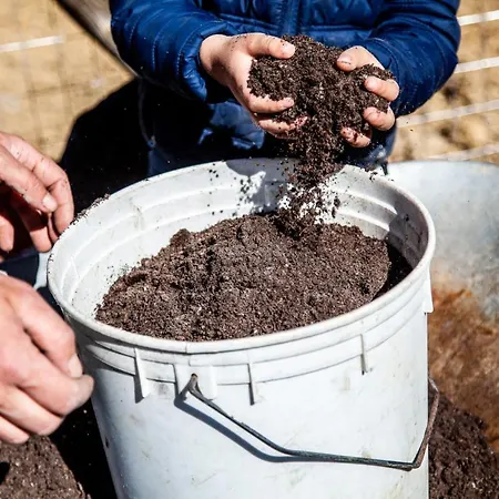 Agricola Posapiano Alojamento de Turismo Rural *