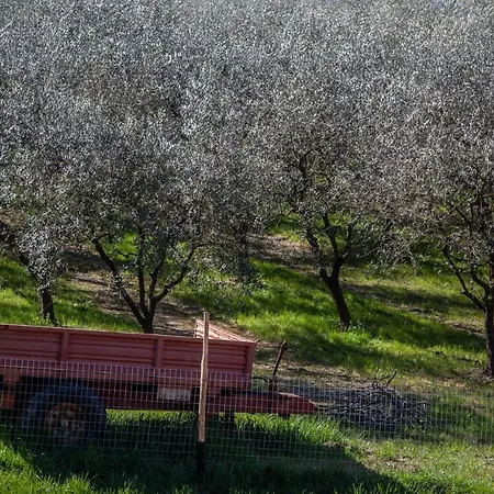 Agricola Posapiano * Montecarlo