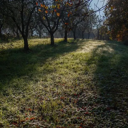 Alojamento de Turismo Rural Agricola Posapiano