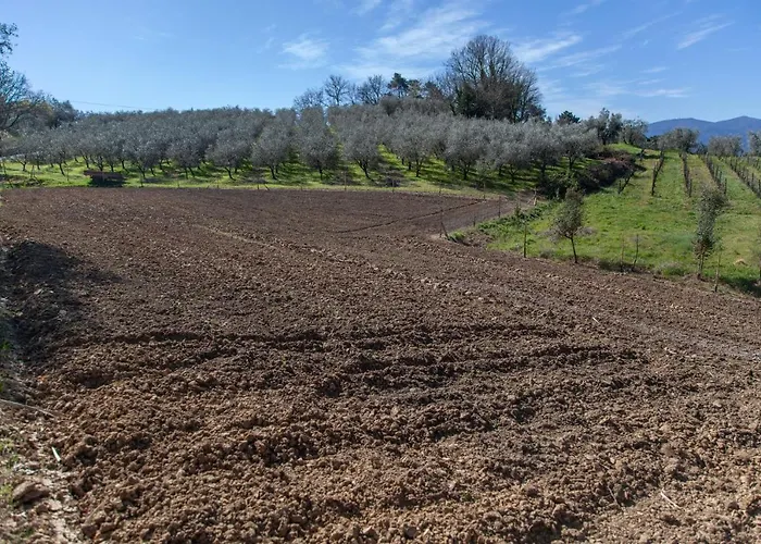 Agricola Posapiano * Montecarlo
