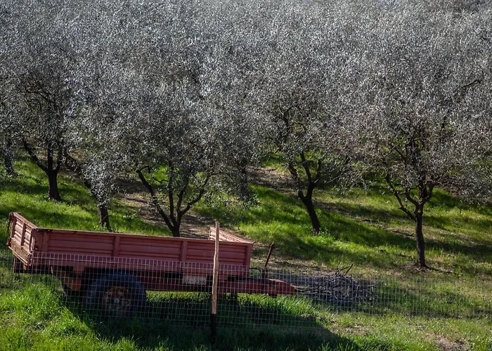 Agricola Posapiano * Montecarlo